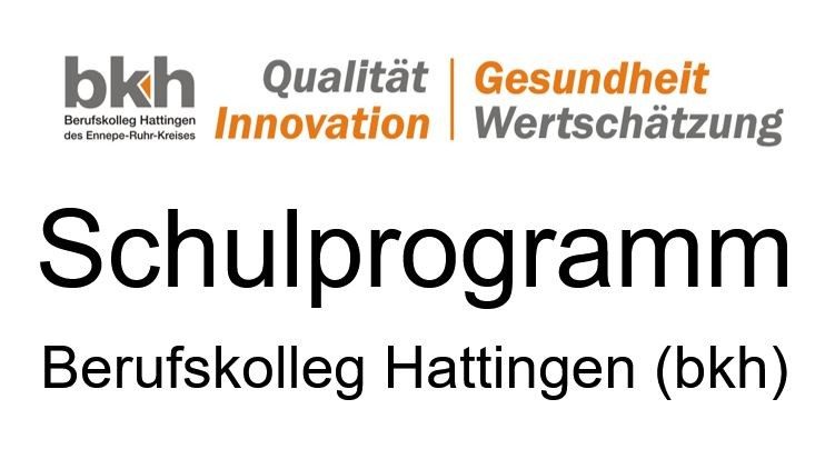 Wortmarke des Schulprogramms des Berufskollegs Hattingen mit den Begriffen Qualität, Innovation, Gesundheit und Wertschätzung