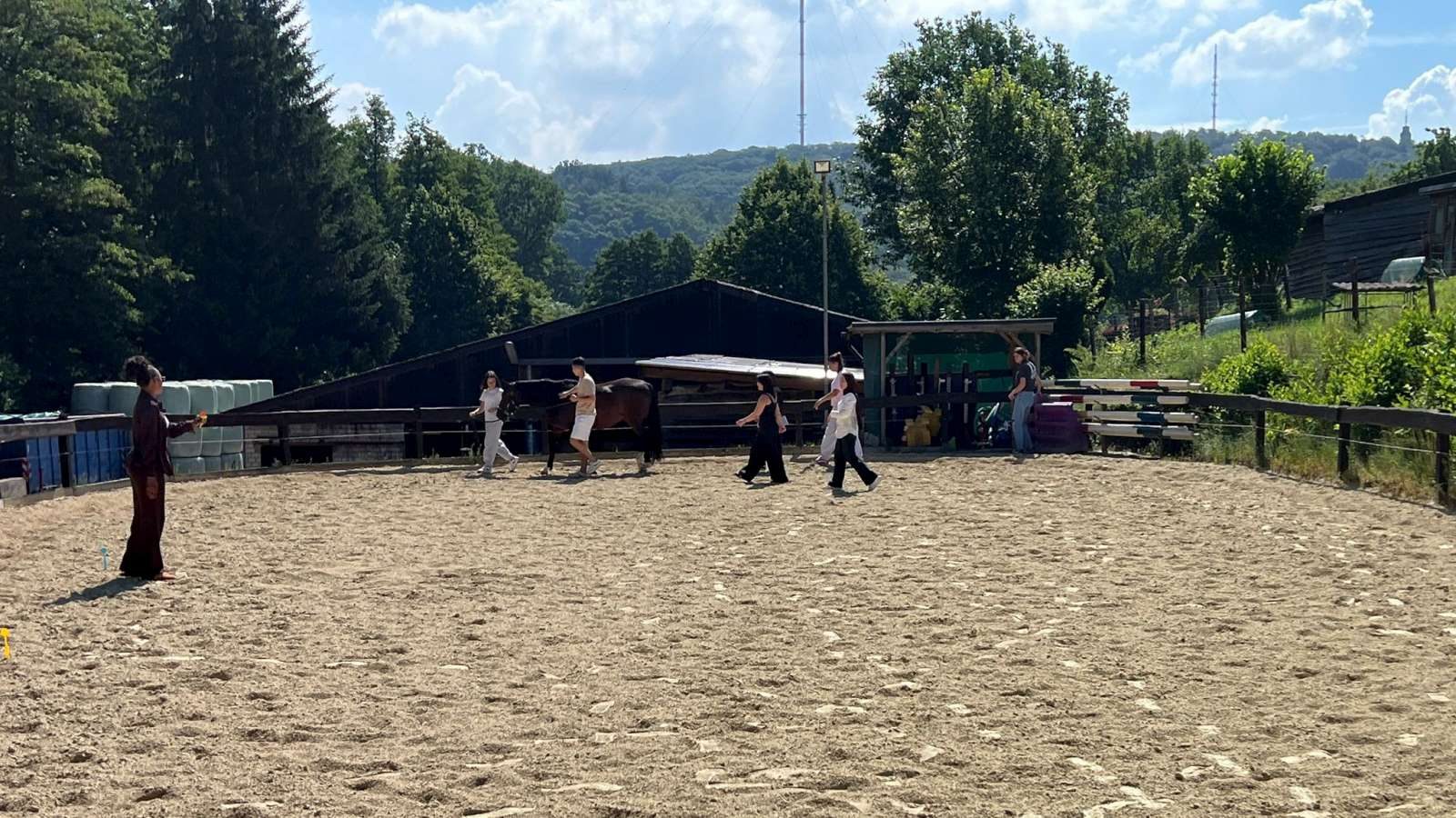 Lernende gehen auf einem Reitplatz auf ein Pferd zu