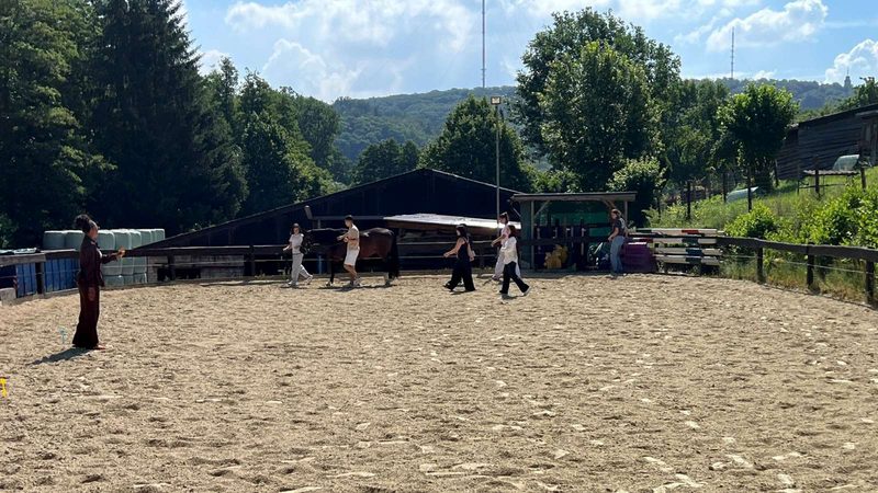 Lernende gehen auf einem Reitplatz auf ein Pferd zu